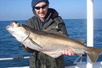 14 lb Pollock by Nigel  (buster gonad)