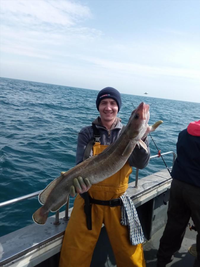12 lb Ling by Andy