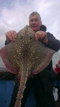 10 lb Thornback Ray by jon