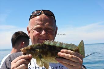 1 lb Ballan Wrasse by Curly