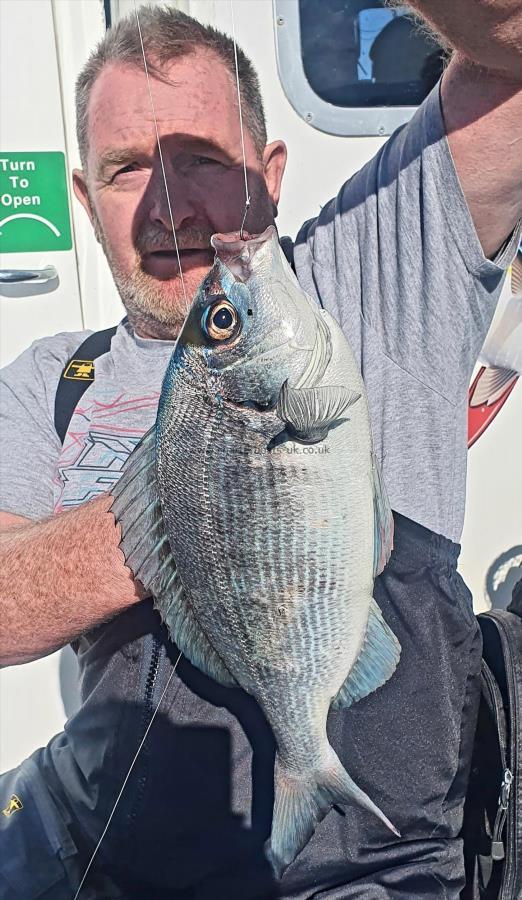 2 lb 6 oz Black Sea Bream by Dougie