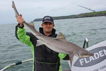 16 lb Starry Smooth-hound by Dan