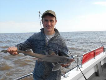 3 lb 5 oz Smooth-hound (Common) by Tom