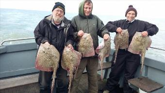 10 lb Thornback Ray by individual day