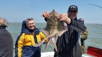 6 lb Thornback Ray by Andrew