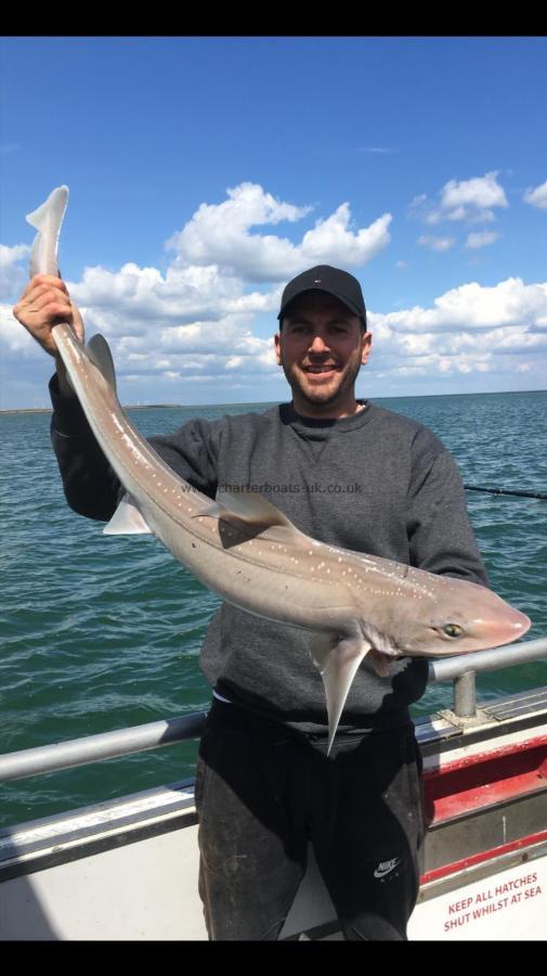 10 lb 1 oz Starry Smooth-hound by Unknown