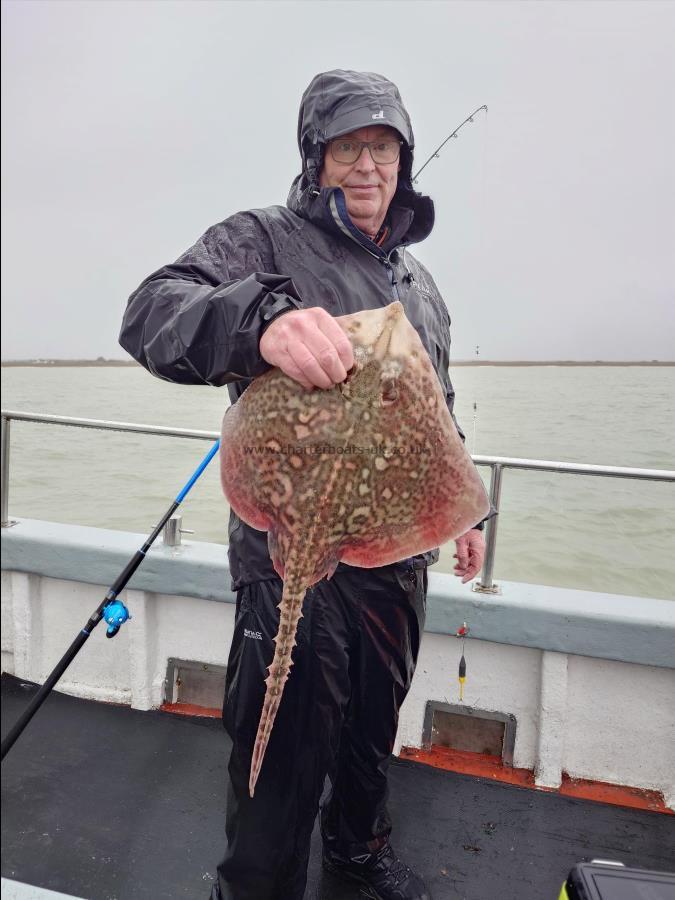 6 lb Thornback Ray by Richard