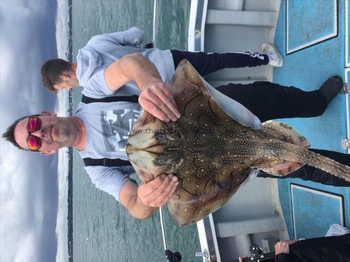 11 lb Undulate Ray by Darren