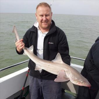 12 lb 2 oz Starry Smooth-hound by Skipper