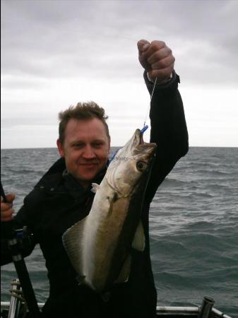 5 lb 2 oz Pollock by Bristol Angler