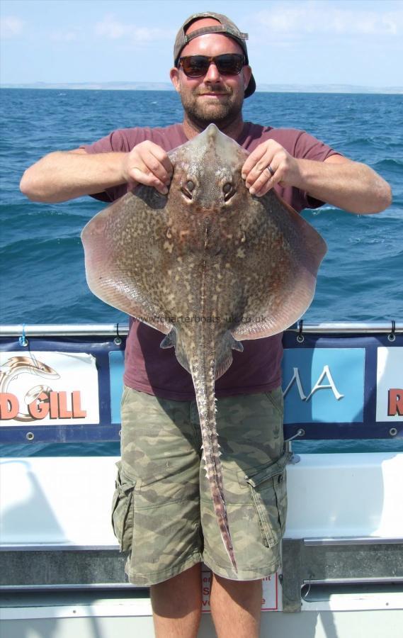 12 lb 4 oz Thornback Ray by Andy Morley