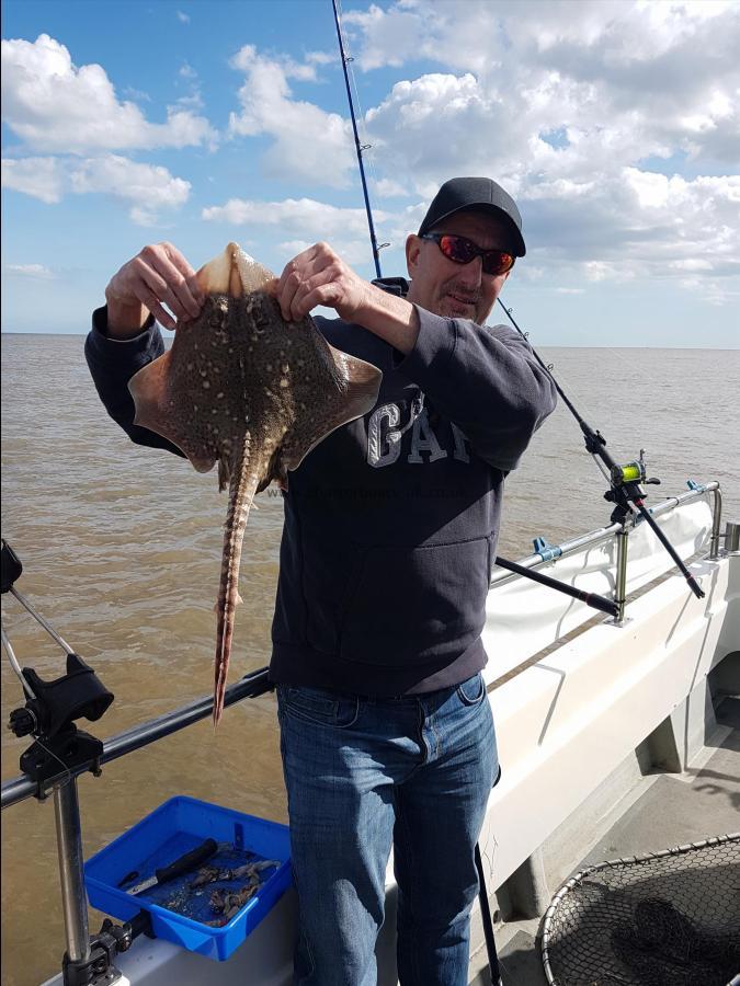 3 lb 5 oz Thornback Ray by Tom