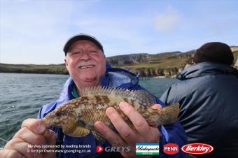 2 lb Ballan Wrasse by David