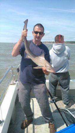 10 lb 8 oz Starry Smooth-hound by russel phillips