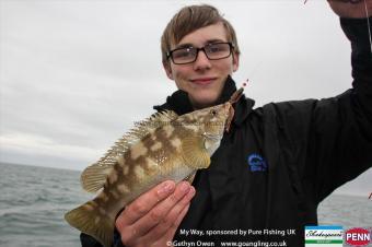 1 lb Ballan Wrasse by Declan