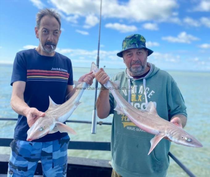 5 lb Smooth-hound by Unknown