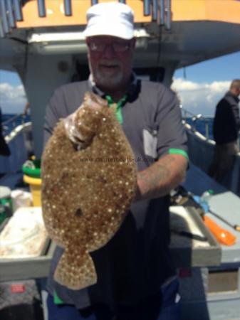 4 lb Brill by Peter