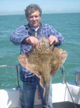 12 lb 8 oz Undulate Ray by Unknown