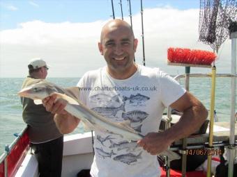 3 lb 5 oz Smooth-hound (Common) by Mark