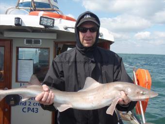 11 lb 6 oz Starry Smooth-hound by Dans mate