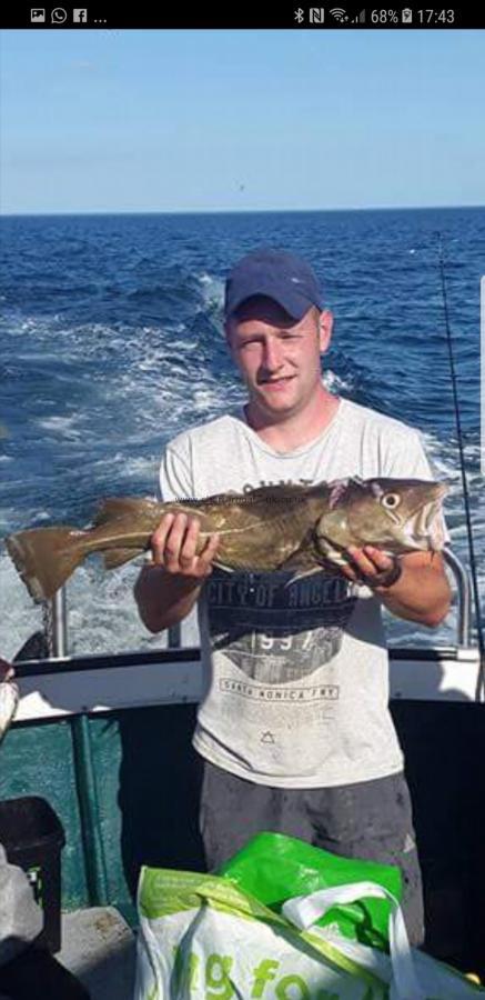 6 lb 3 oz Cod by Unknown