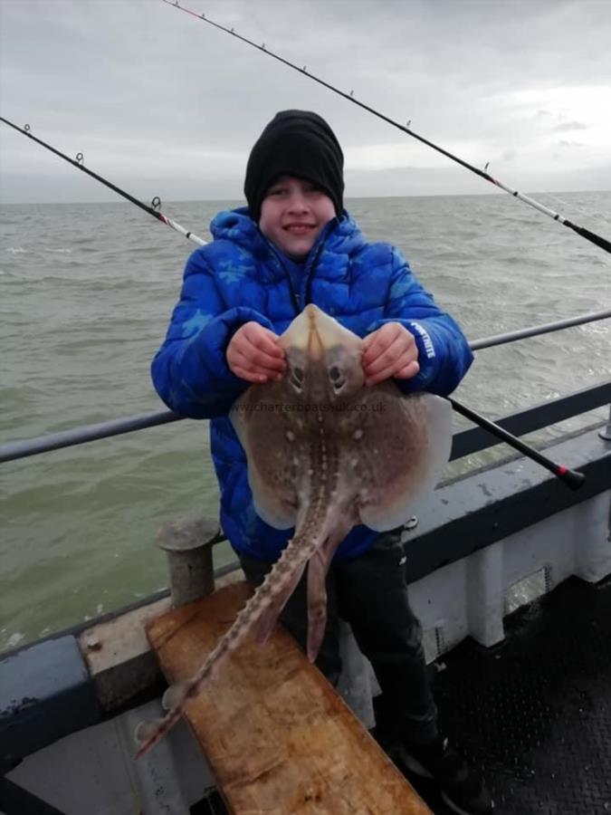 5 lb Thornback Ray by Unknown