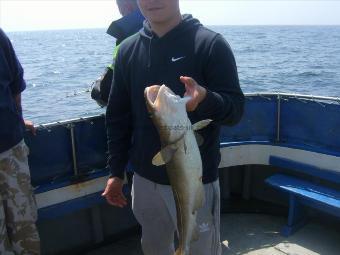 6 lb 8 oz Cod by nice cod dave