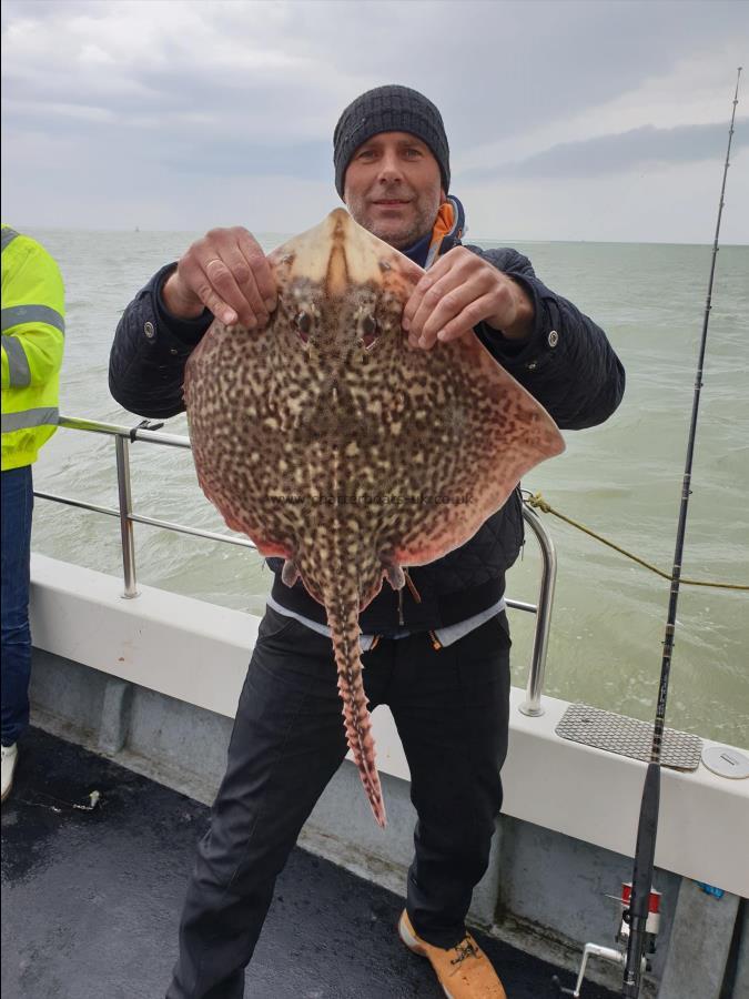 8 lb 8 oz Thornback Ray by Bob Marshall