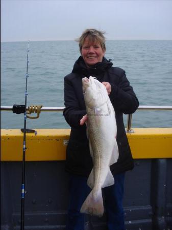 14 lb 10 oz Cod by Eliane