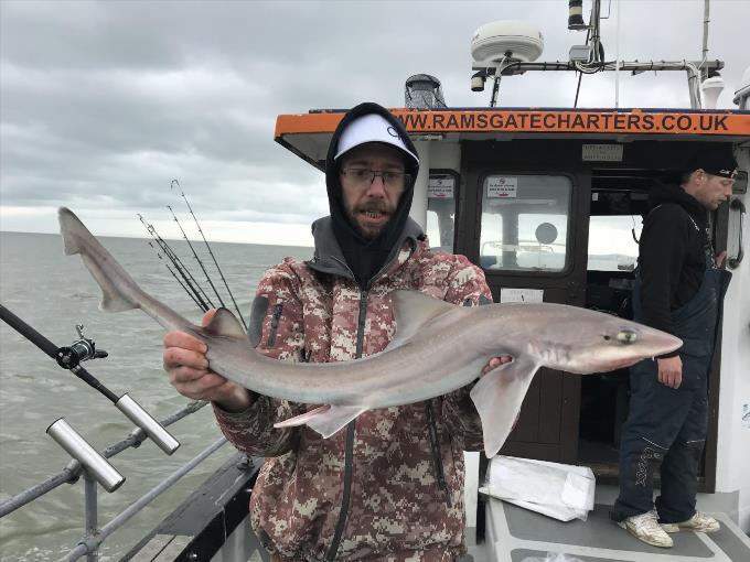 7 lb Smooth-hound (Common) by Unknown