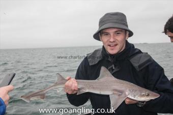 4 lb Starry Smooth-hound by Kenny