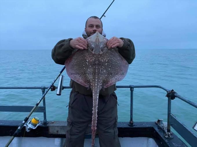 14 lb Thornback Ray by Unknown