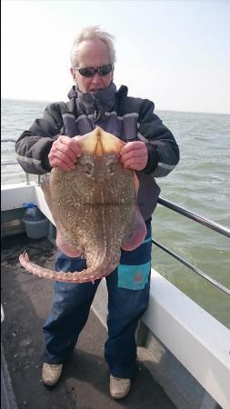 11 lb 12 oz Thornback Ray by Bob Marshall