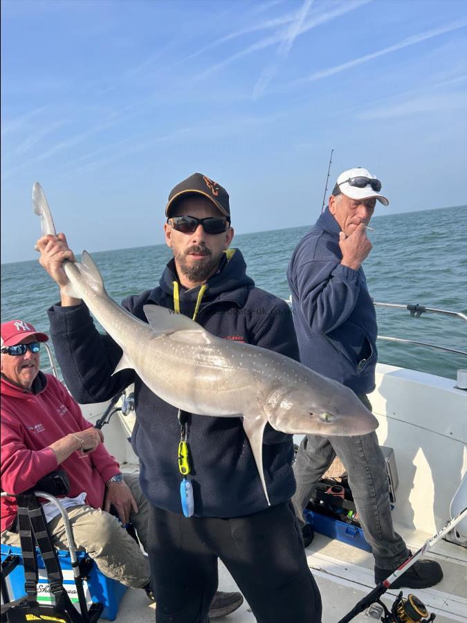 13 lb Smooth-hound by Pedro