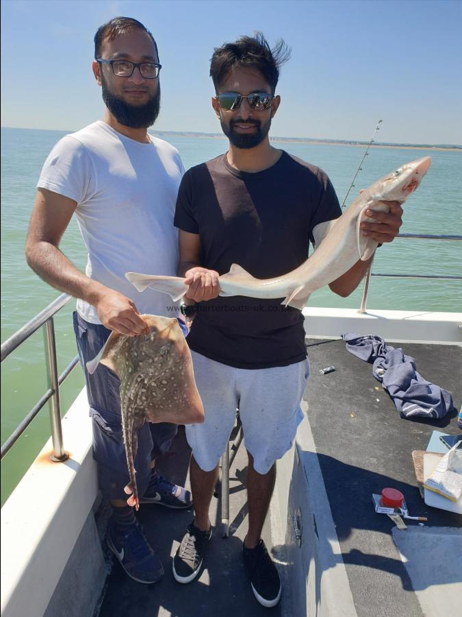 6 lb 8 oz Smooth-hound by Bob Marshall