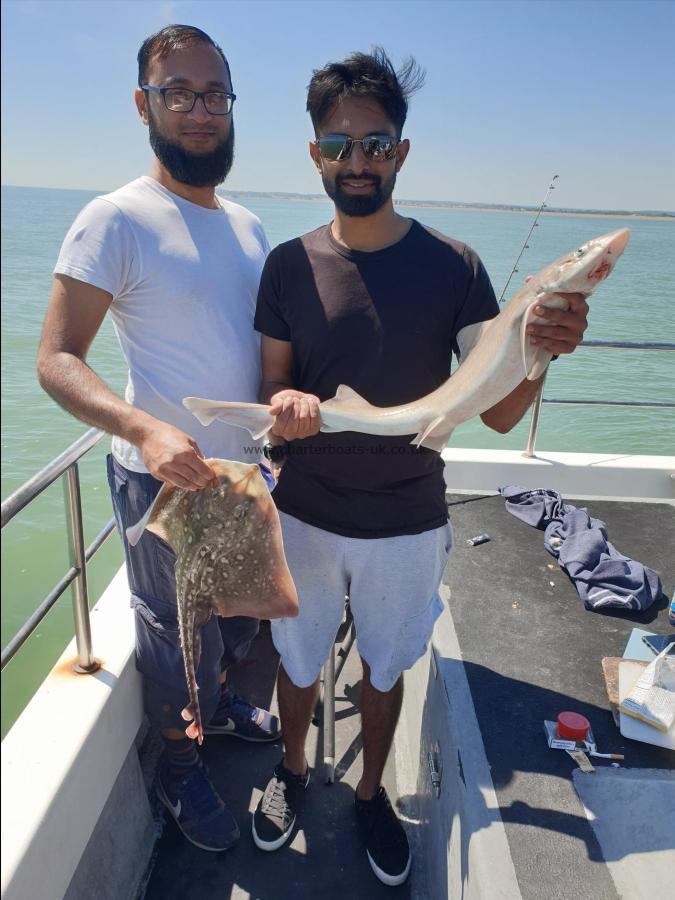 6 lb 8 oz Smooth-hound (Common) by Bob Marshall