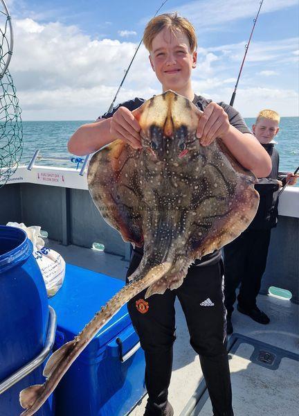 8 lb Undulate Ray by Archie