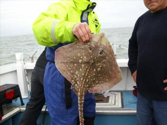 9 lb Thornback Ray by Rob Wickham