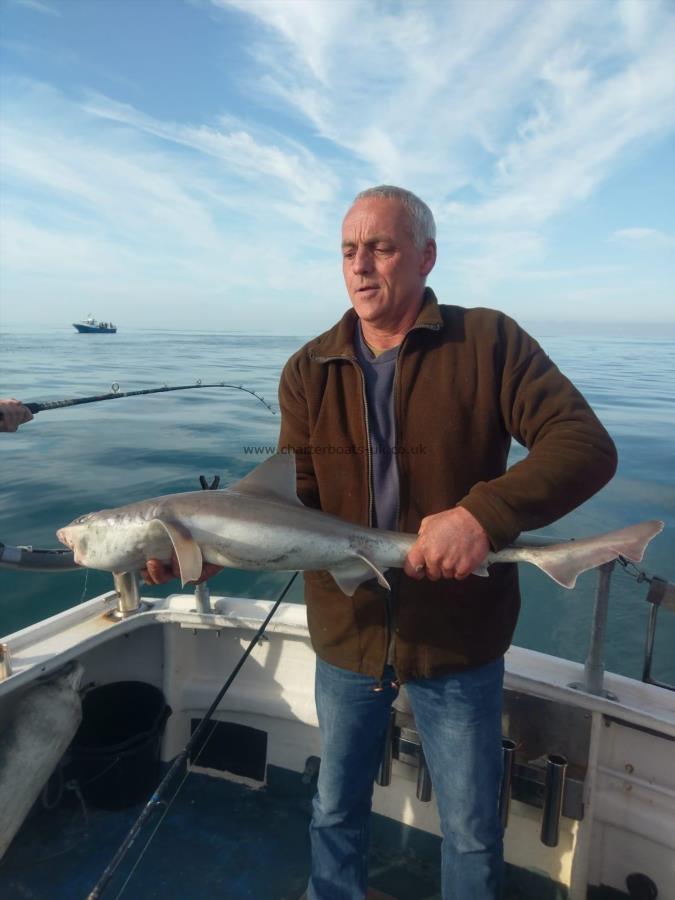 10 lb Smooth-hound (Common) by Unknown