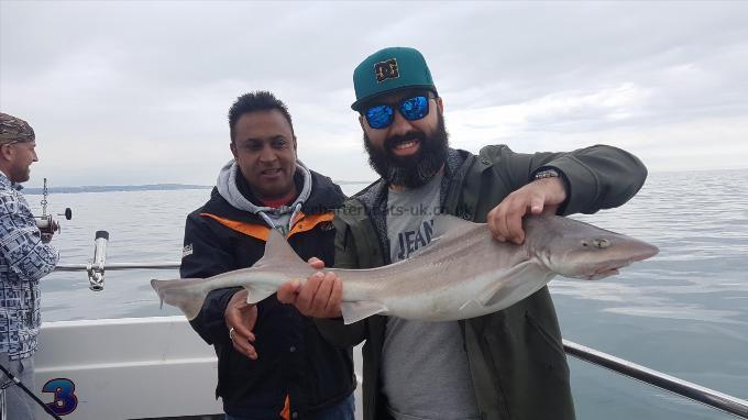 11 lb Smooth-hound by Steve crew