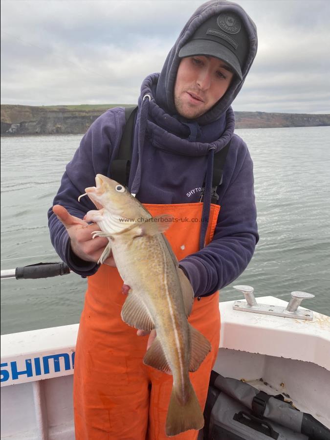 3 lb 12 oz Cod by Fergus Powell.