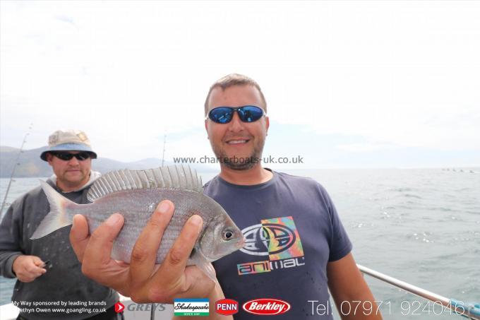 1 lb Black Sea Bream by Dan