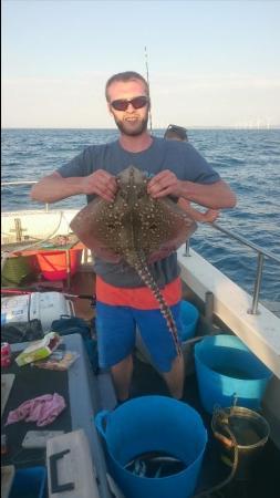 7 lb 8 oz Thornback Ray by Unknown