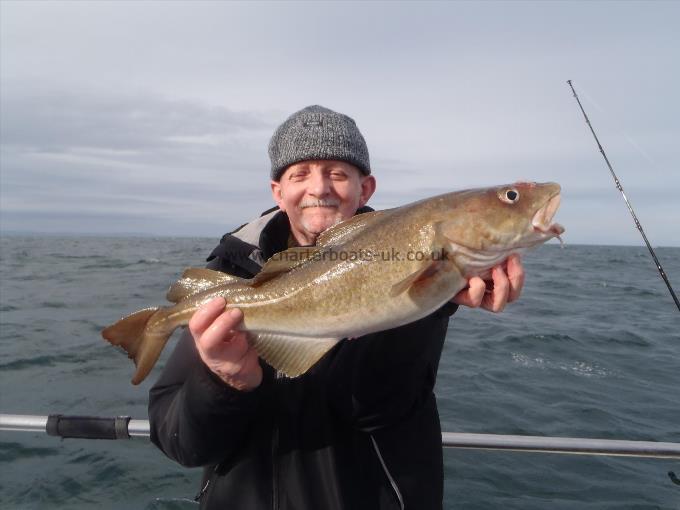 4 lb Cod by Dave Murray.