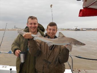 5 lb Starry Smooth-hound by Jason and Kyle Amies