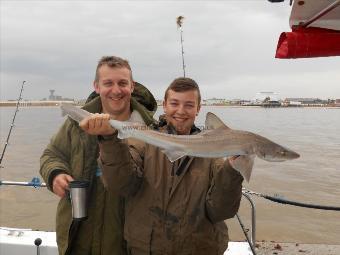 5 lb Starry Smooth-hound by Jason and Kyle Amies