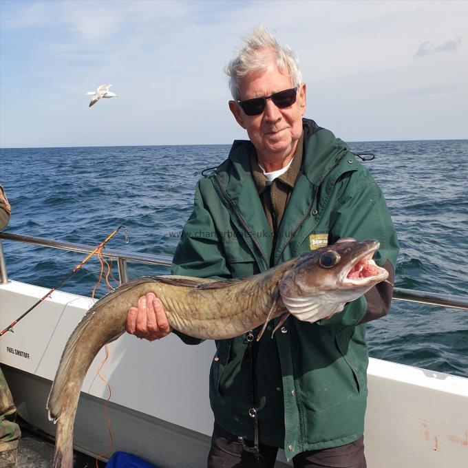 13 lb Ling (Common) by David Lumley