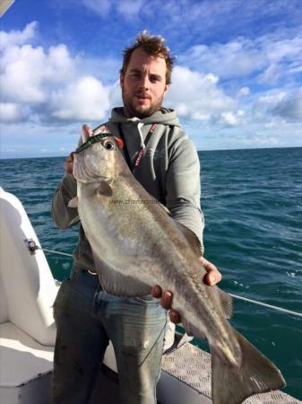 13 lb 7 oz Pollock by LUKE LARDER