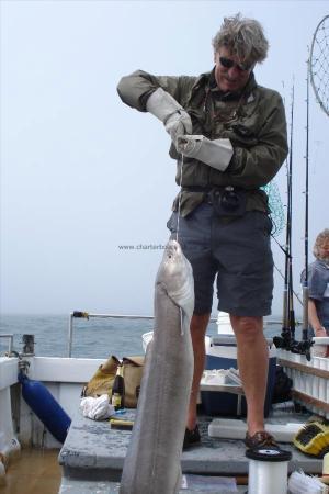 65 lb Conger Eel by Peter