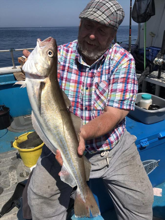 4 lb 2 oz Whiting by Kevin McKie